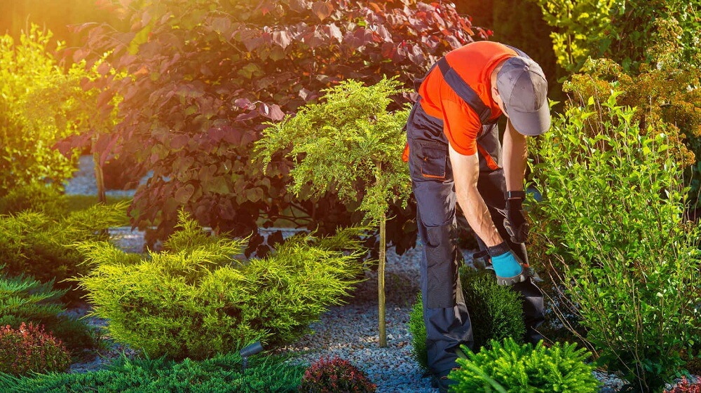 Landscaping